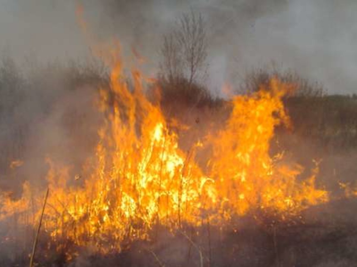 Gaisrai gamtoje. Kilimo priežastys, atsakomybė