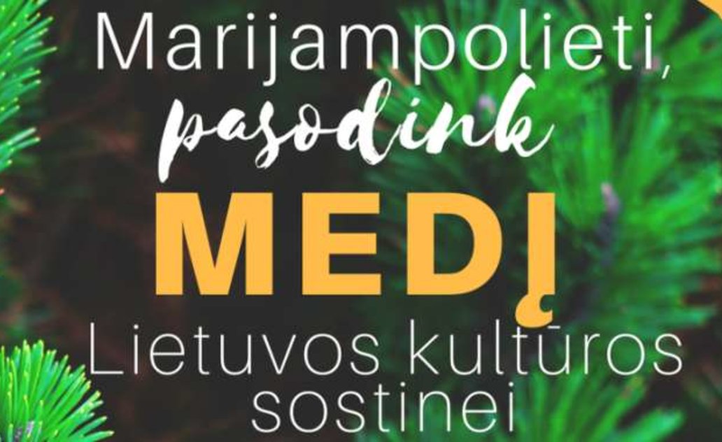 Marijampolieti, pasodink medį Lietuvos kultūros sostinei!