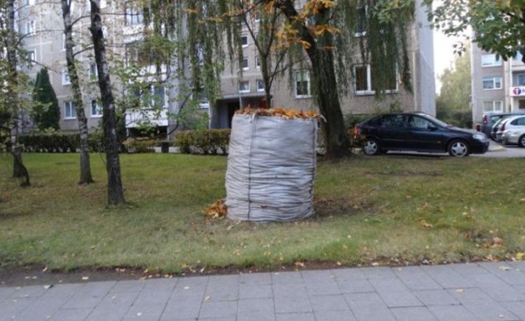 Sugrėbtų lapų išvežimo tvarka