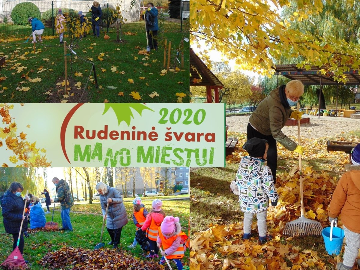 Akcija „Rudeninė švara“ sustabdyta, tačiau lapų grėbimas tęsiamas: dalinami maišai sugrėbtiems...