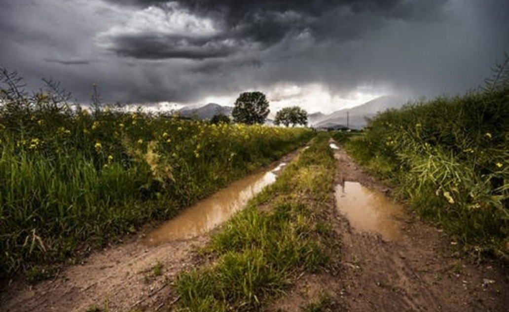 Nukentėjusiems nuo visų nepalankių klimato reiškinių - lengvatinės paskolos