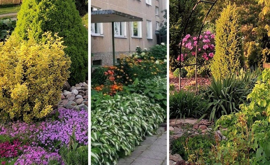 Kurkime  žalią ir jaukią aplinką: kviečiame teikti paraiškas daugiabučių apželdinimui