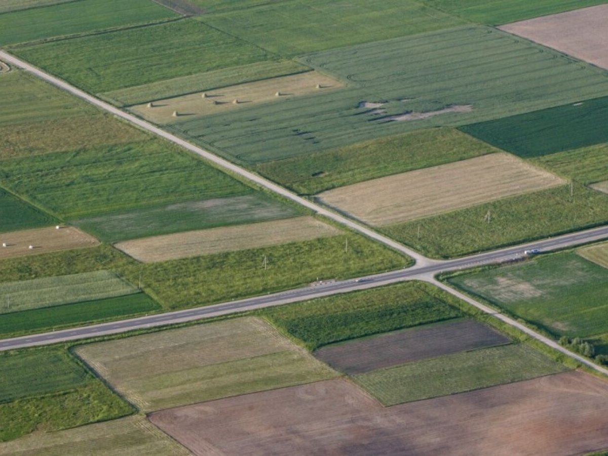 Žemės ūkio naudmenų ir pasėlių deklaravimo naujovės 2021 metais