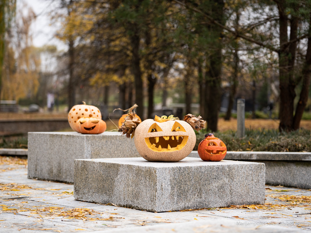 Poezijos parke nušvito Šviečiančių moliūgų alėja