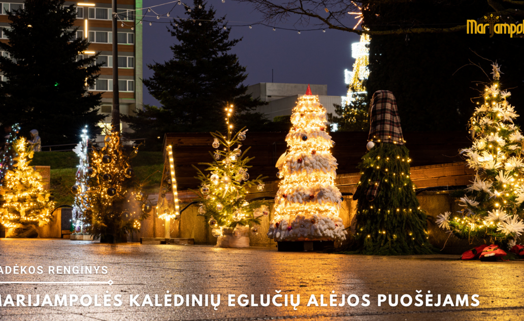 Padėkota Kalėdinių eglučių alėjos kūrėjams