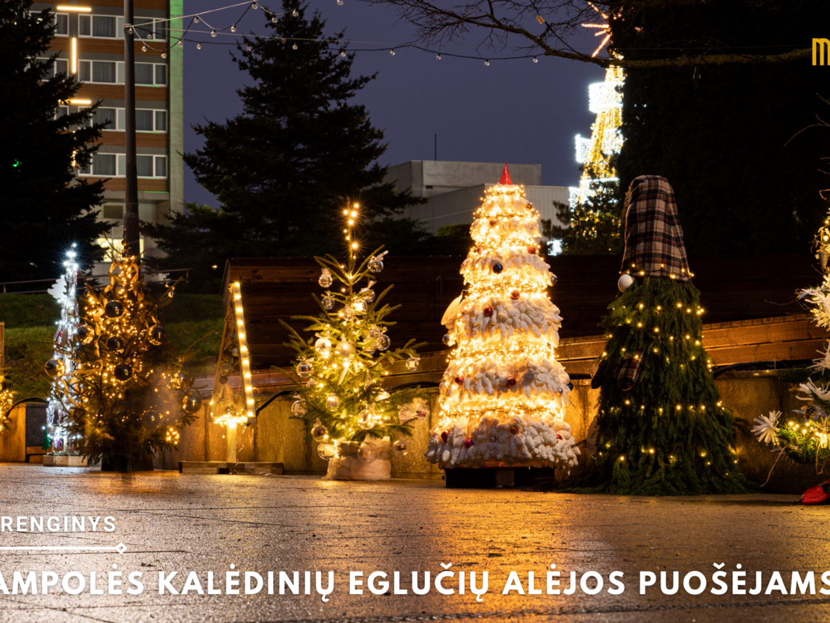Padėkota Kalėdinių eglučių alėjos kūrėjams