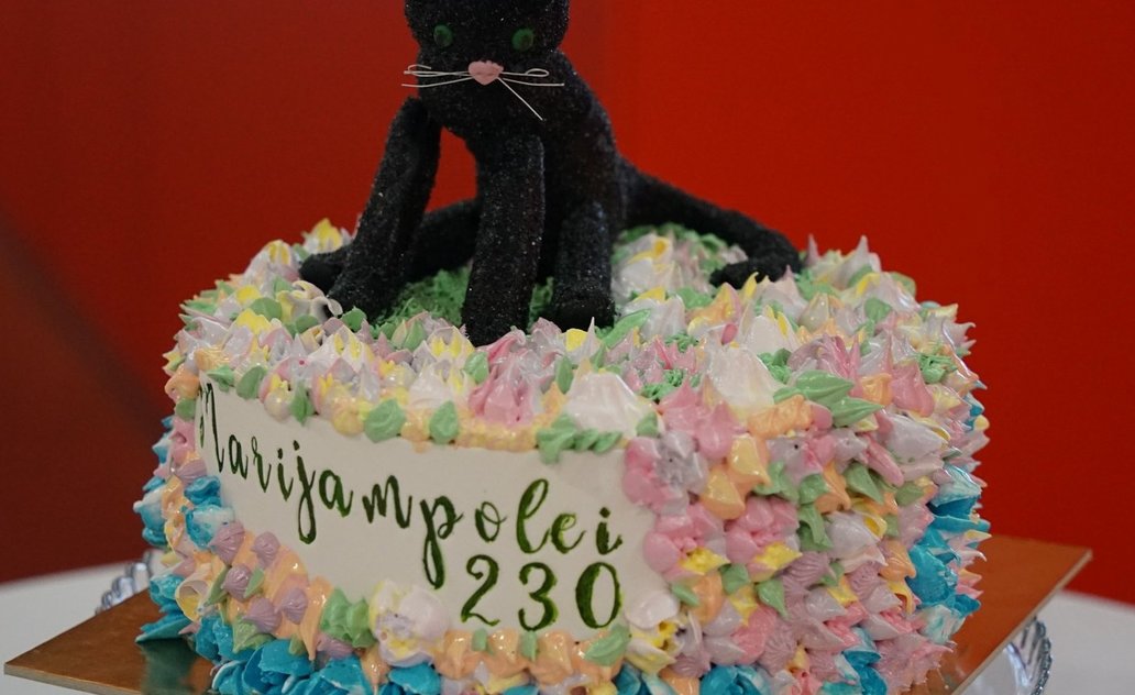 TORTAS MANO MIESTUI – pasigrožėkime Marijampolės konditerių kūryba