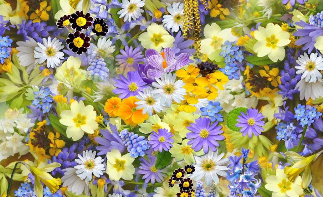 Savivaldybės mero sveikinimas Motinos dienos proga