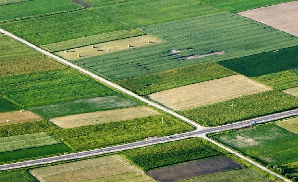 Prasidėjo kasmetinis pasėlių deklaravimas