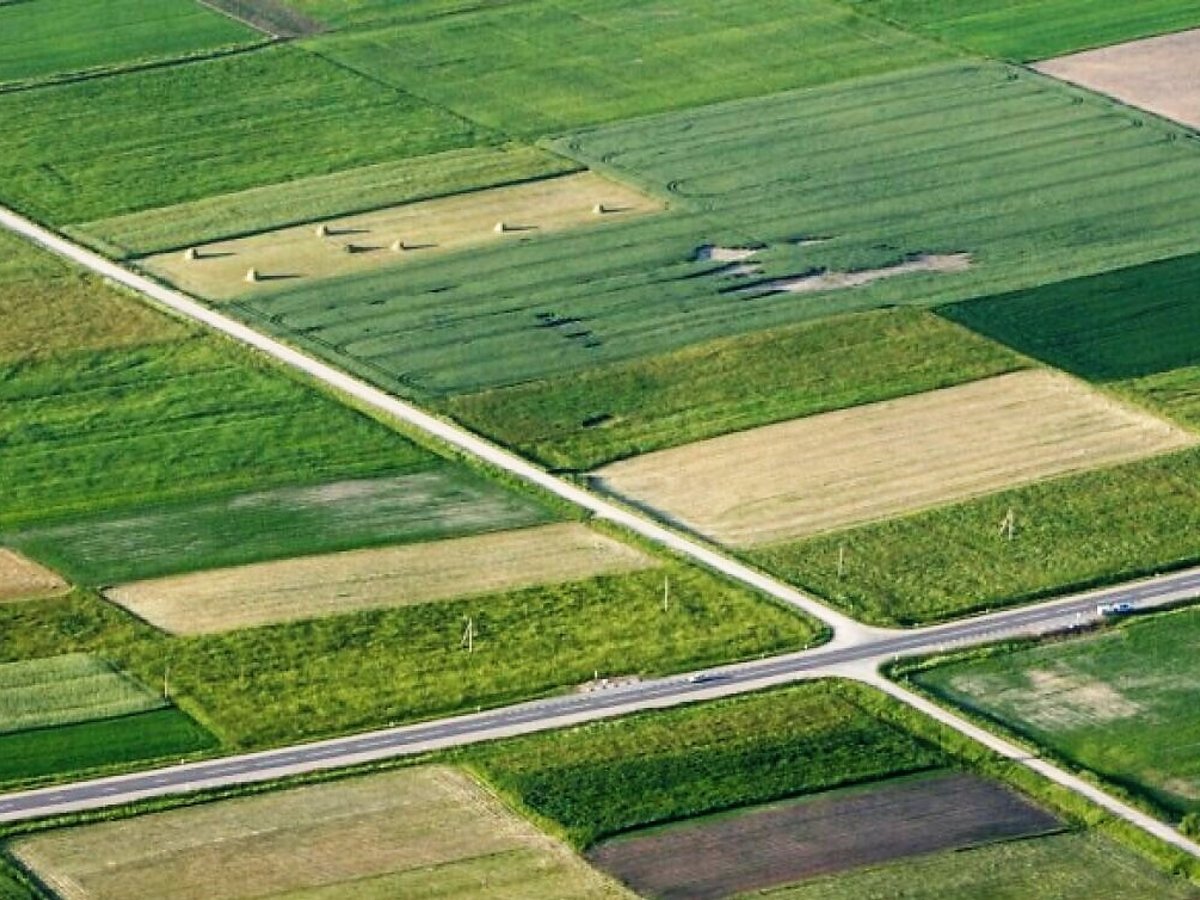 Prasidėjo kasmetinis pasėlių deklaravimas