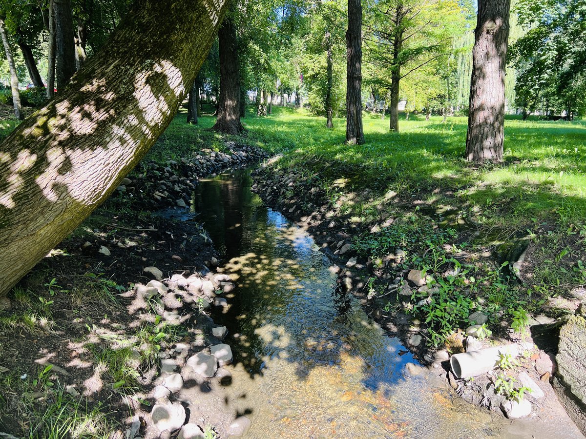 Marijampoliečiai tampa vis labiau neabejingi taršai