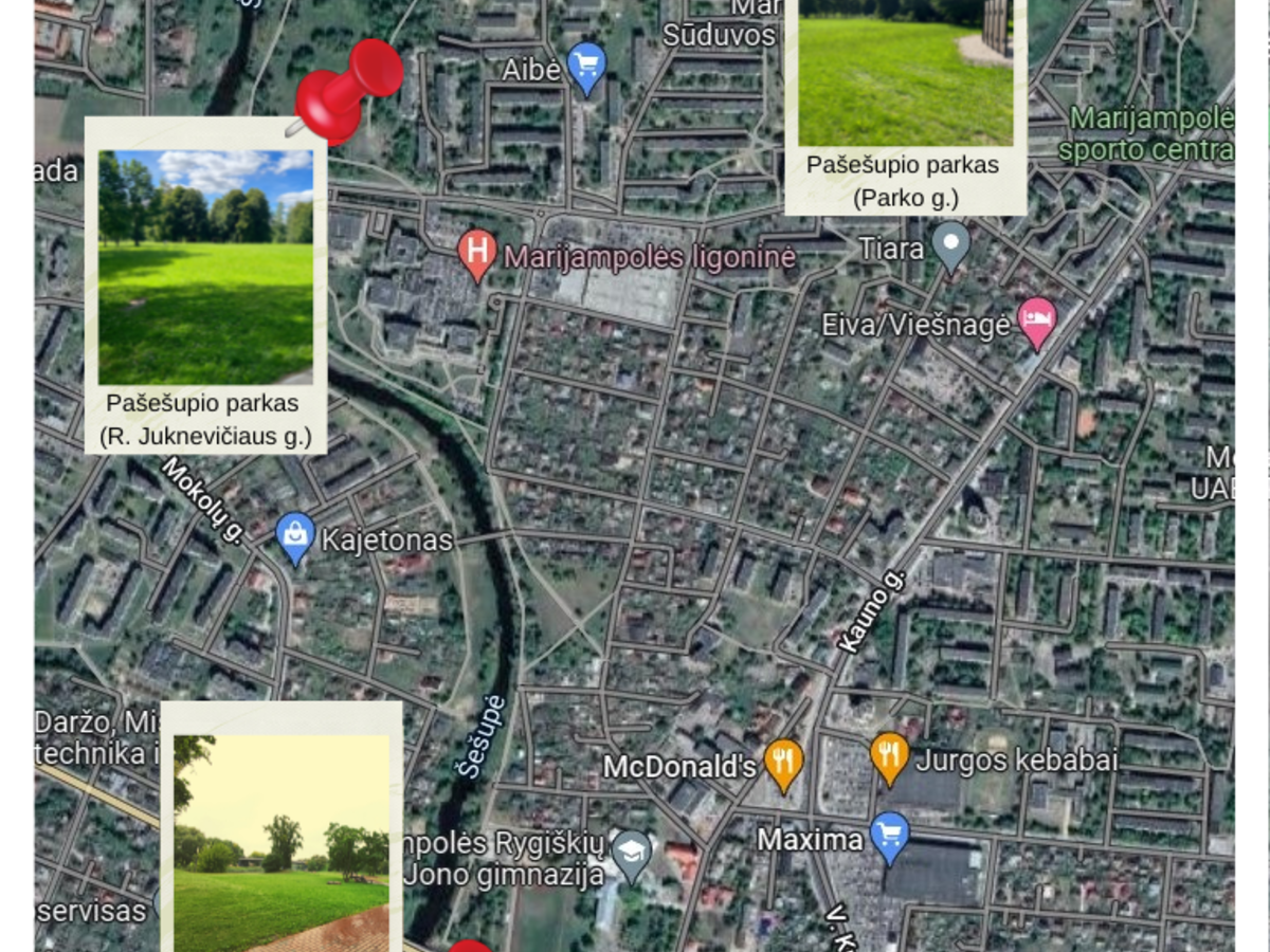 Balsavimas: Jaunimo parkas Marijampolėje