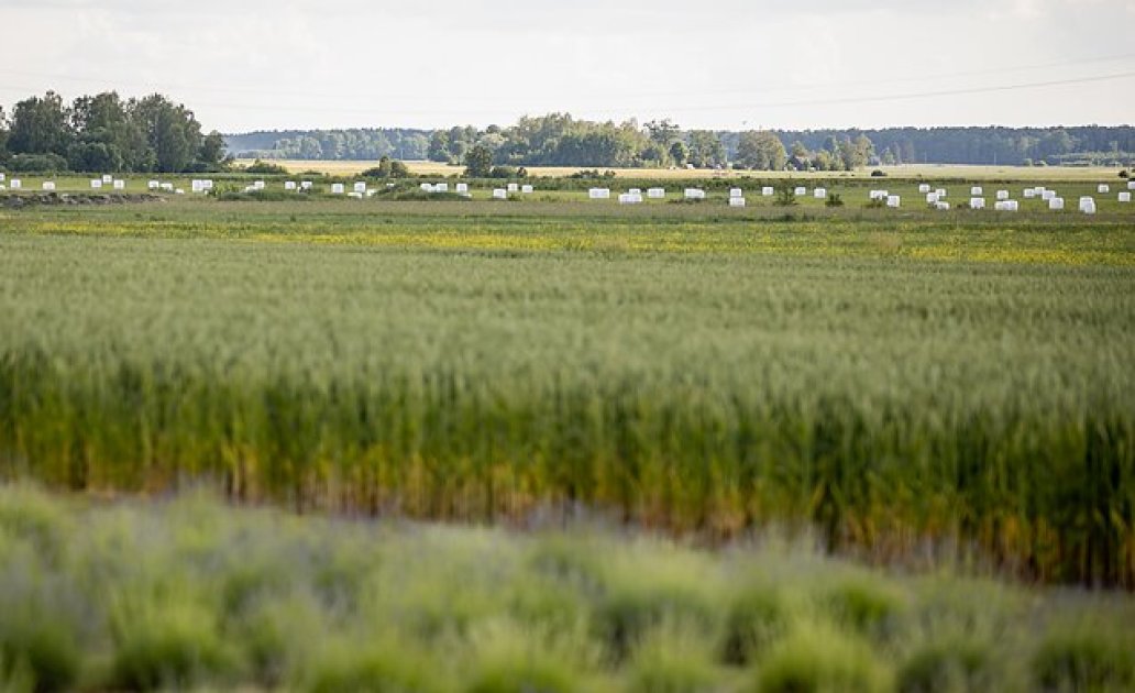 Dėmesio, Marijampolės savivaldybės žemdirbiai!