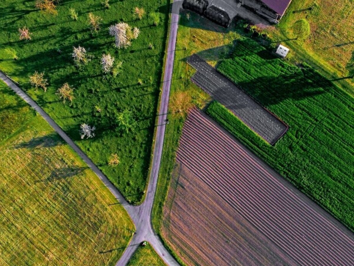 Dėmesio, Marijampolės savivaldybės žemdirbiai!