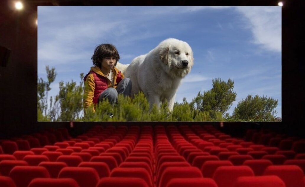 „Šeimos kortelės“ turėtojams – nuolaidos birželio mėnesį kino teatre „Spindulys“