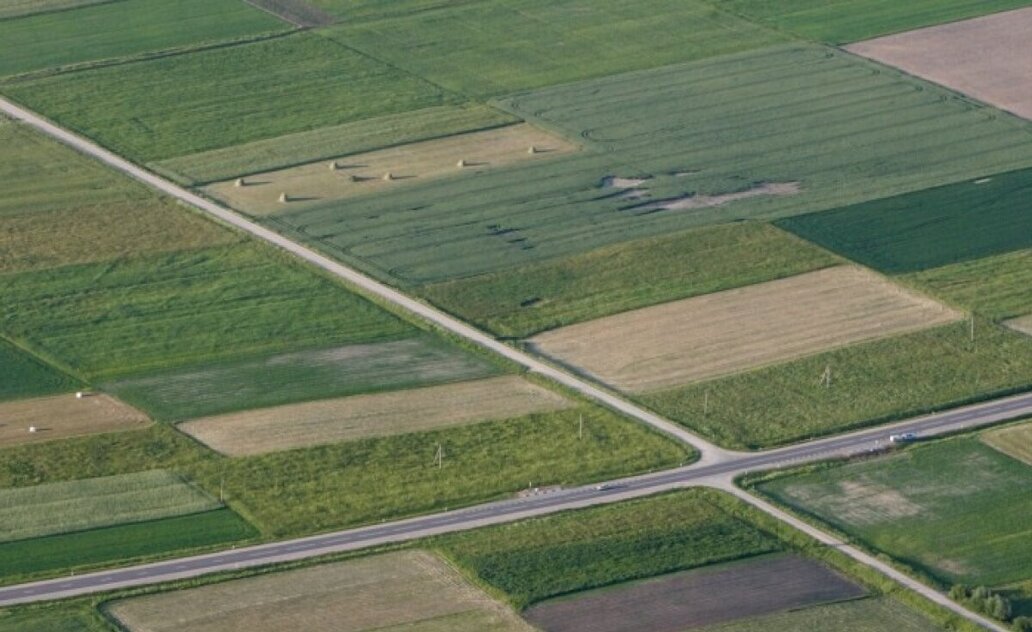 Pratęstas pasėlių deklaravimas: pavėluotai deklaruojantiems pasėlius išmokos nemažės