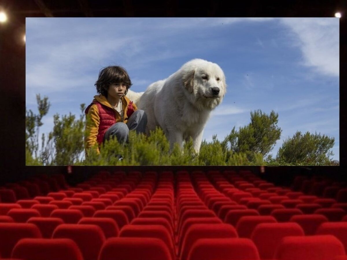 „Šeimos kortelės“ turėtojams – nuolaidos birželio mėnesį kino teatre „Spindulys“