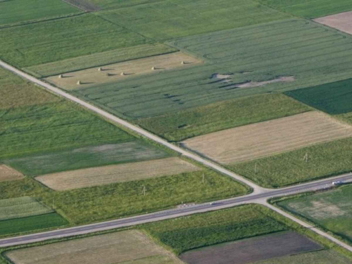 Pratęstas pasėlių deklaravimas: pavėluotai deklaruojantiems pasėlius išmokos nemažės