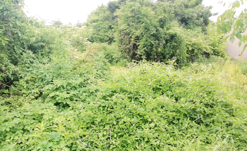 Laikas suskubti susitvarkyti žemės sklypus Marijampolės savivaldybės teritorijoje