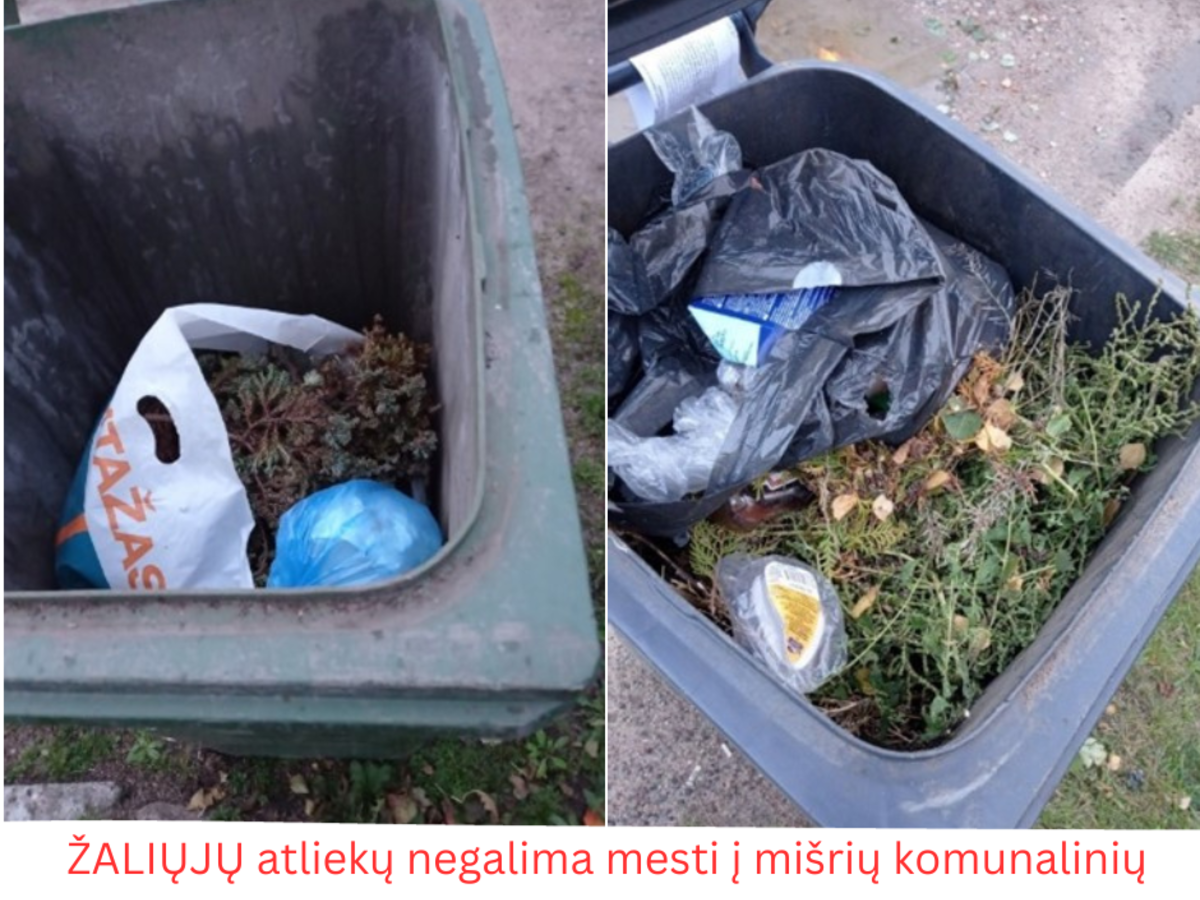 TVARKYKIME ATLIEKAS ATSAKINGAI
