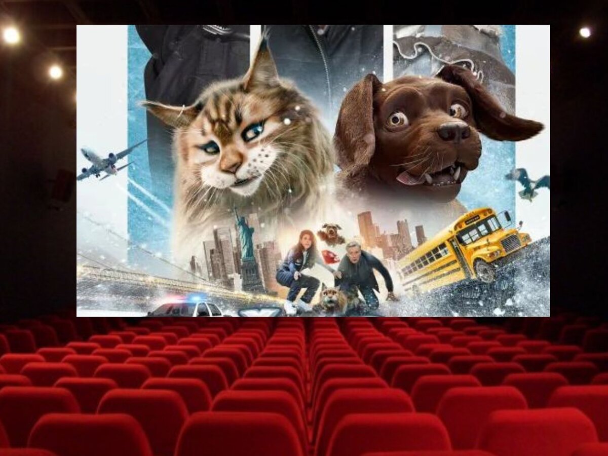 „Šeimos kortelės“ turėtojams – nuolaidos  kovo mėnesį kino teatre „Spindulys“