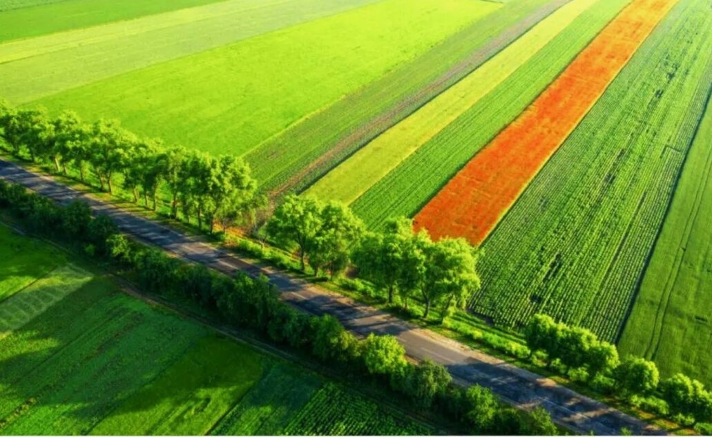 MARIJAMPOLĖS SAVIVALDYBĖS ŽEMDIRBIŲ DĖMESIUI!