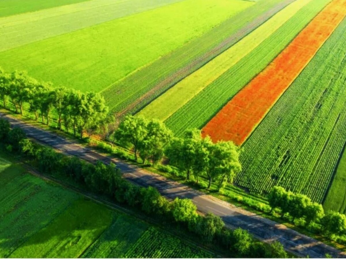 MARIJAMPOLĖS SAVIVALDYBĖS ŽEMDIRBIŲ DĖMESIUI!