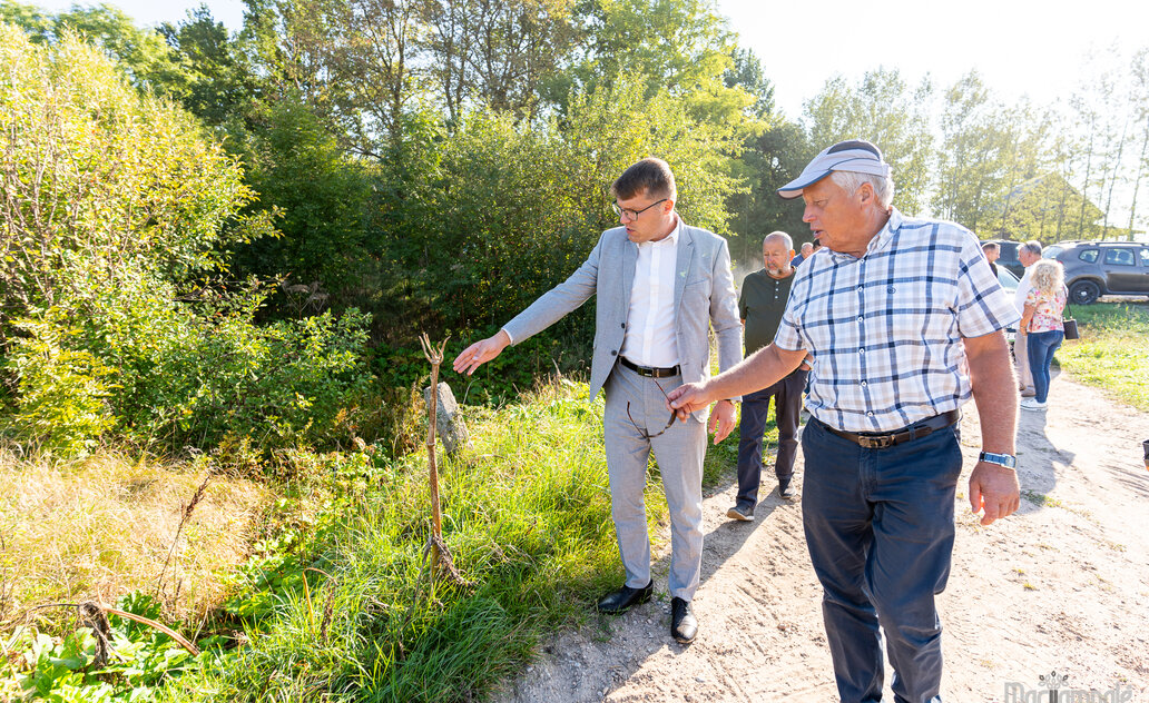 Marijampolės savivaldybėje stebimas Sosnovskio barščiais užkrėstų plotų mažėjimas