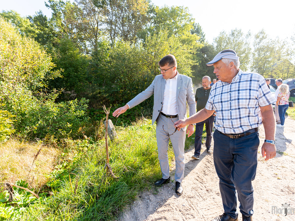 Marijampolės savivaldybėje stebimas Sosnovskio barščiais užkrėstų plotų mažėjimas