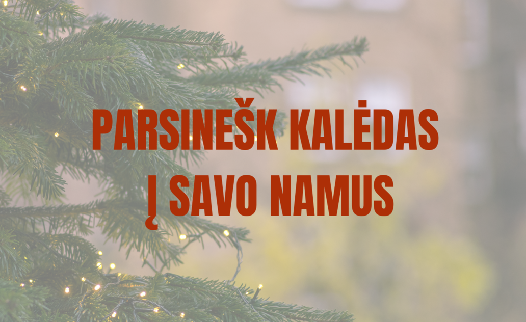 „Parnešk Kalėdas į savo namus“ – eglučių šakų dalijimo akcija Marijampolėje