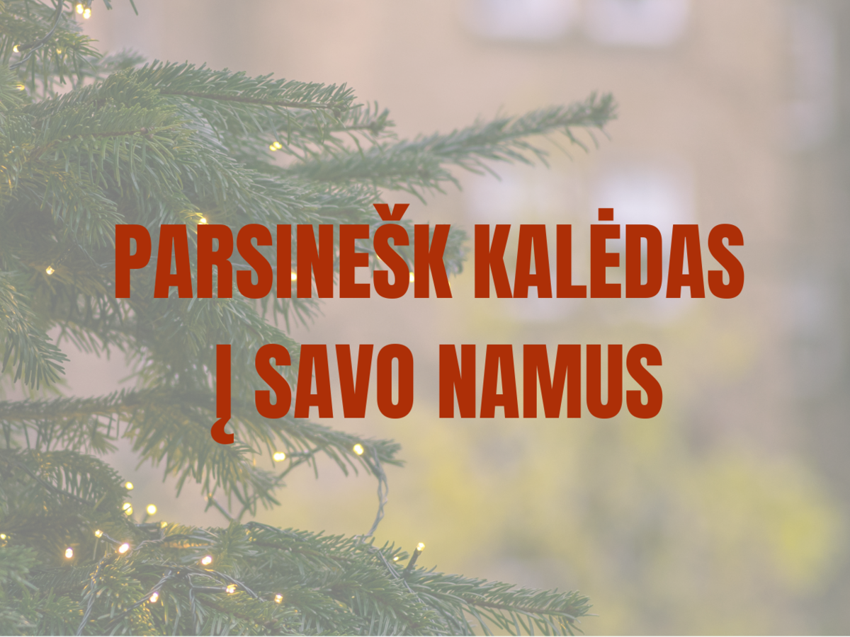 „Parnešk Kalėdas į savo namus“ – eglučių šakų dalijimo akcija Marijampolėje