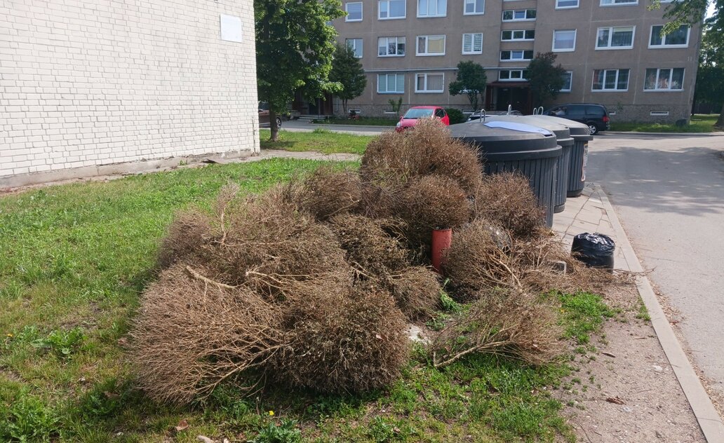 Nustatytas asmuo, netinkamai išmetęs žaliąsias atliekas – primename apie tinkamas jų šalinimo...