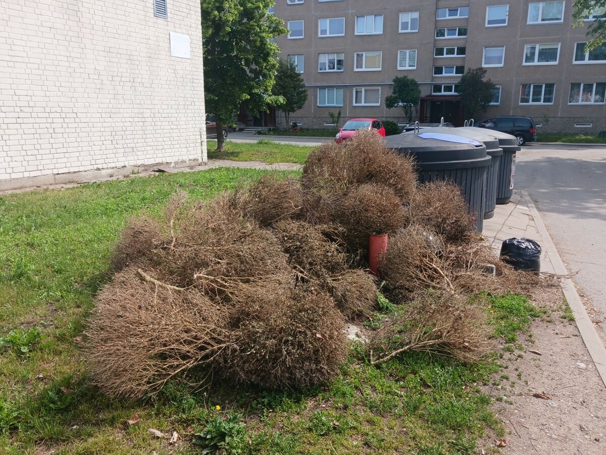 Nustatytas asmuo, netinkamai išmetęs žaliąsias atliekas – primename apie tinkamas jų šalinimo...