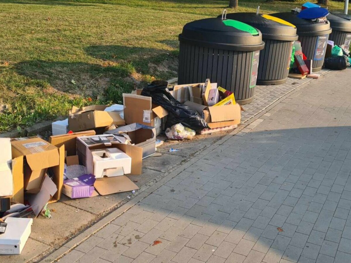 Netvarka prie konteinerių – ne visada dėl vietos stokos juose