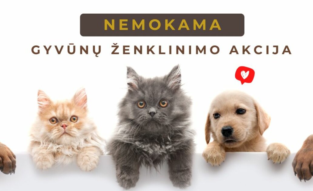 Nemokama augintinių ženklinimo akcija Marijampolėje