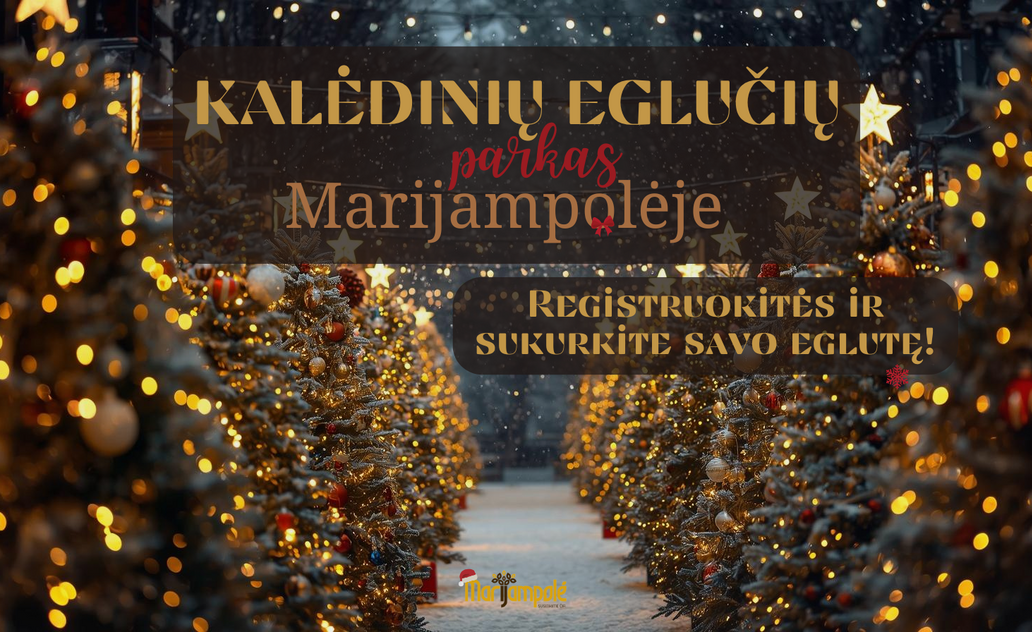 Kurkime kalėdinių eglučių parką – Marijampolė šviečia Kalėdomis! 