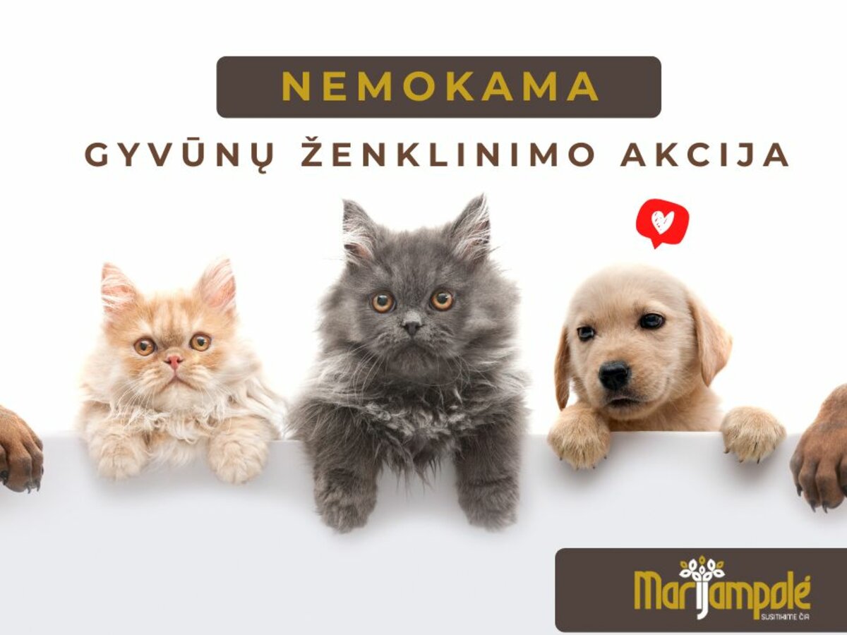 Nemokama augintinių ženklinimo akcija Marijampolėje