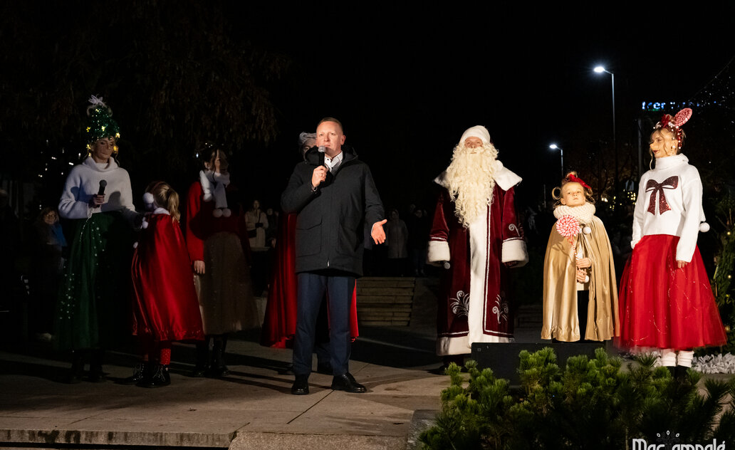Kalėdinių eglučių parkas: vakaras, kai žmonės uždega šviesą