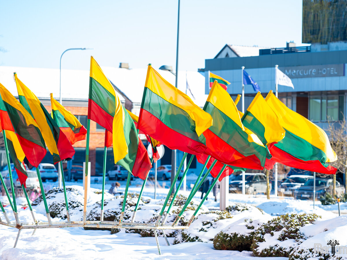 Su gimtadieniu, LIETUVA! 