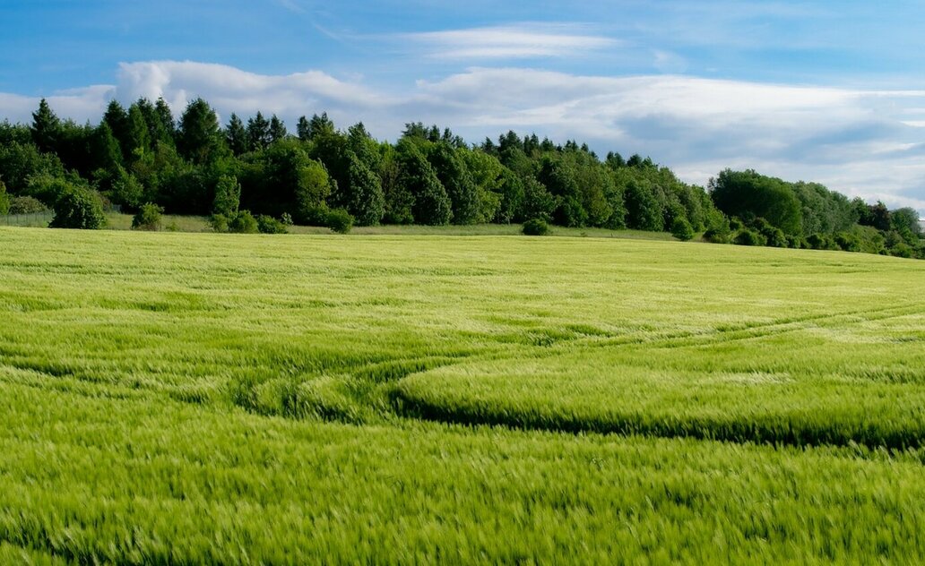MARIJAMPOLĖS SAVIVALDYBĖS ŽEMDIRBIŲ DĖMESIUI!
