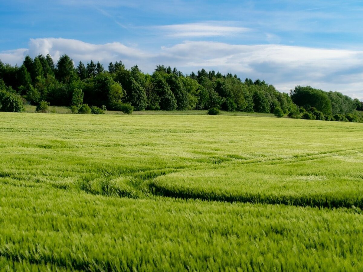MARIJAMPOLĖS SAVIVALDYBĖS ŽEMDIRBIŲ DĖMESIUI!