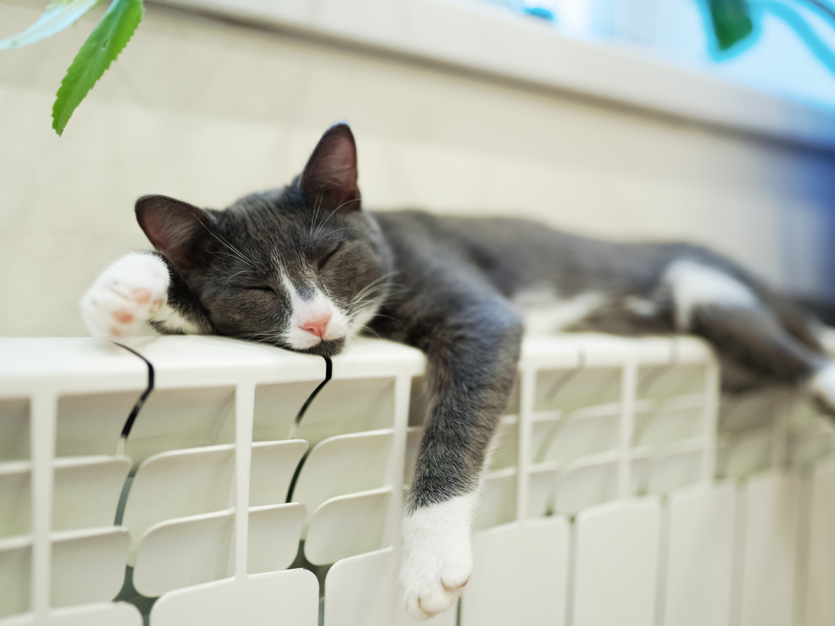 Pavasaris vis drąsiau beldžiasi į langus – metas baigti šildymo sezoną