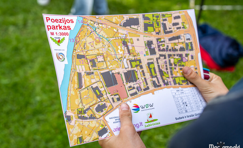 Žemėlapiai rankose, azartas akyse: Poezijos parke vyko „Labirintas“