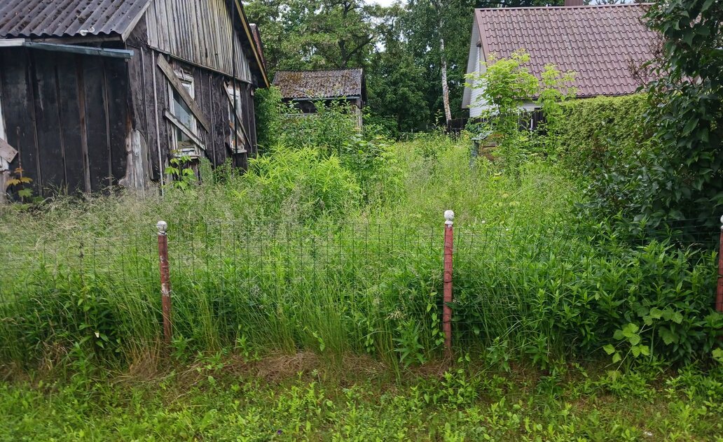 Paskelbtas preliminarus nenaudojamų ir apleistų žemės sklypų sąrašas Marijampolės savivaldybėje
