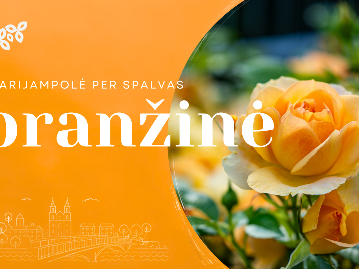 Marijampolė per spalvas: oranžinė