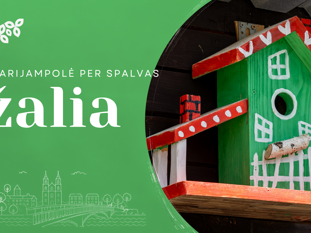 Marijampolė per spalvas: žalia