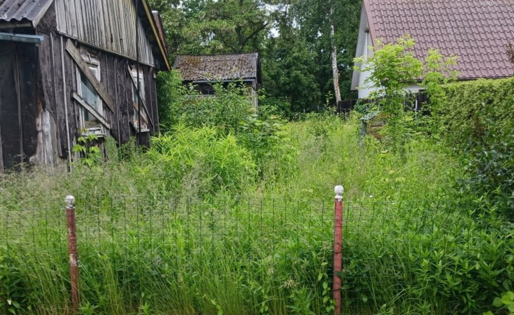 Patvirtintas 2026 metų nenaudojamų, apleistų žemės sklypų sąrašas – jis sutrumpėjo 11 sklypų