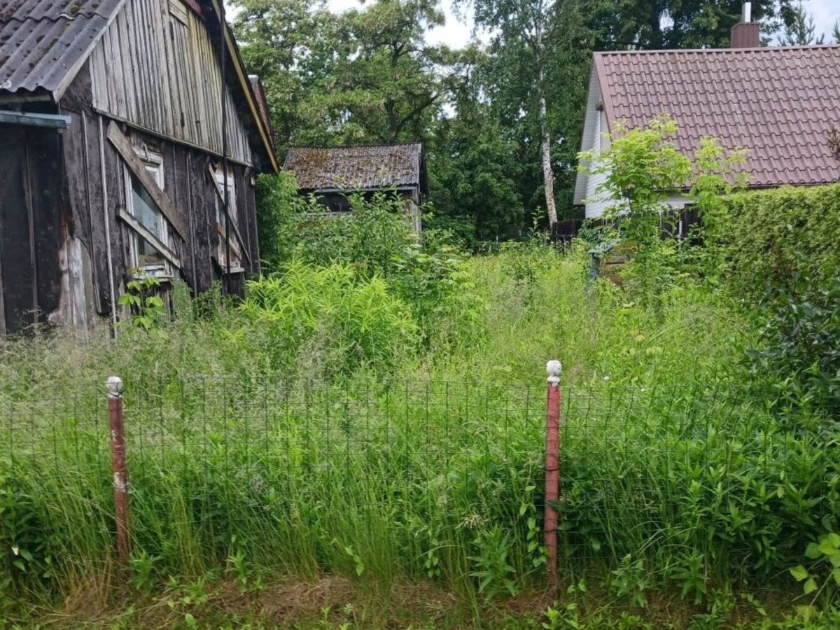 Patvirtintas 2026 metų nenaudojamų, apleistų žemės sklypų sąrašas – jis sutrumpėjo 11 sklypų