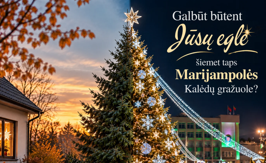 Galbūt būtent Jūsų eglė šiemet taps Marijampolės Kalėdų gražuole?