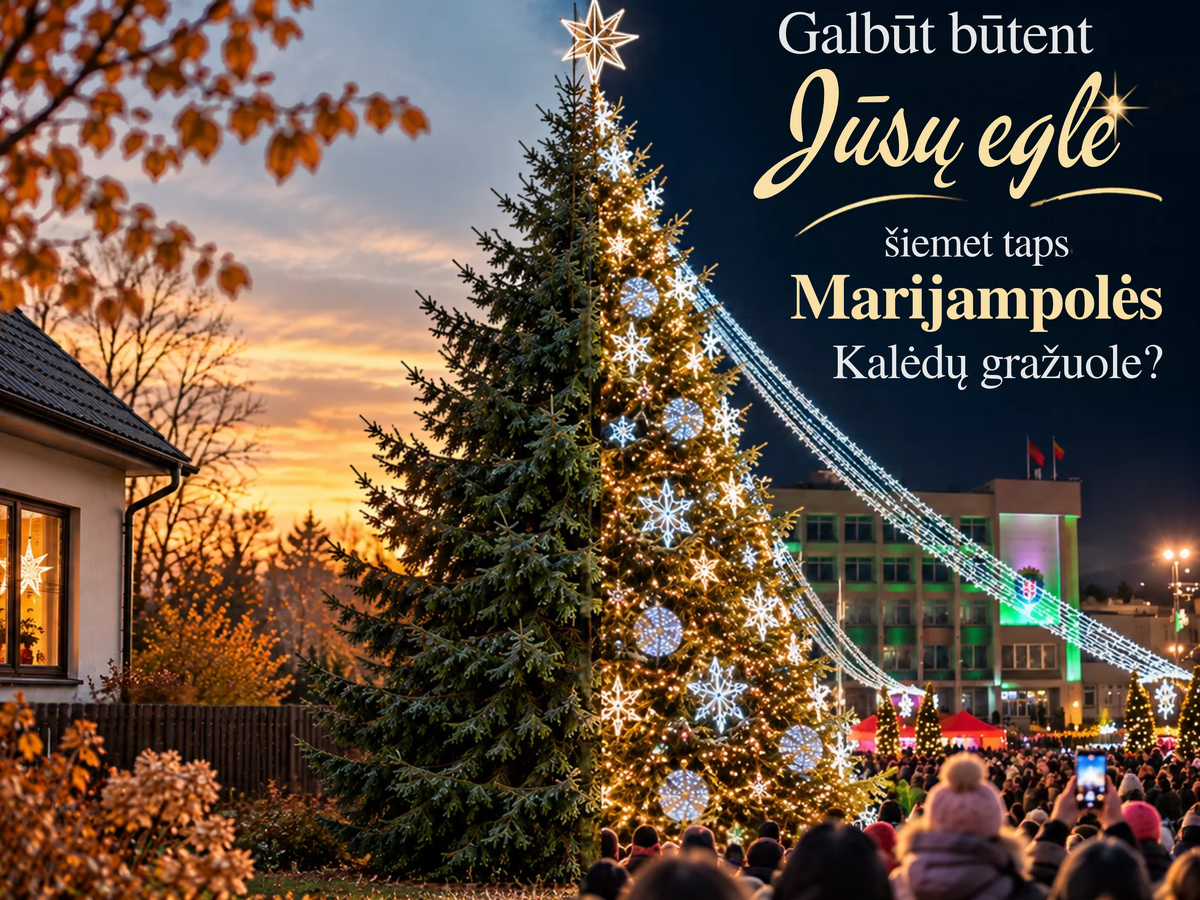 Galbūt būtent Jūsų eglė šiemet taps Marijampolės Kalėdų gražuole?